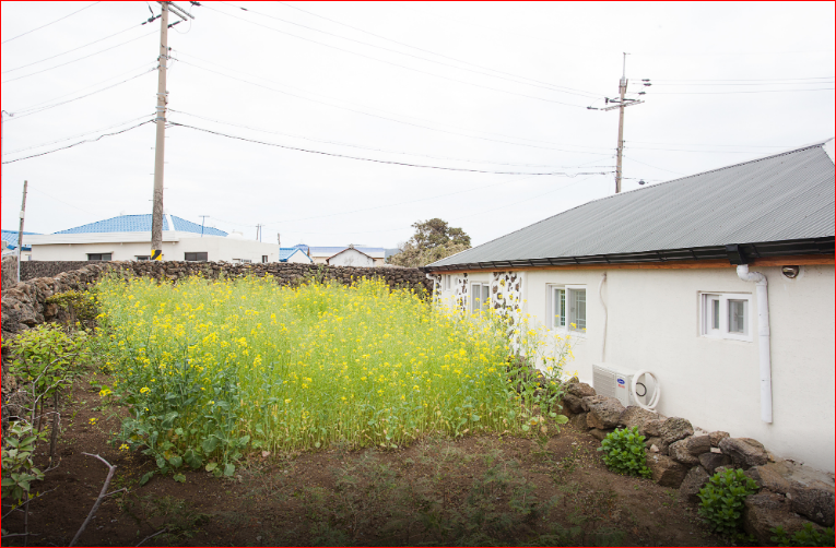 제주 구좌 독채펜션 다올제펜션｜하도리 가족 숙소·최대 6인·바비큐
