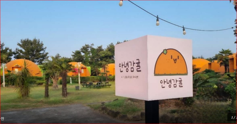 제주 축제 숙소 추천 성산 가족 펜션, 안녕감귤 제주독채펜션 최대 8인·조식·바비큐