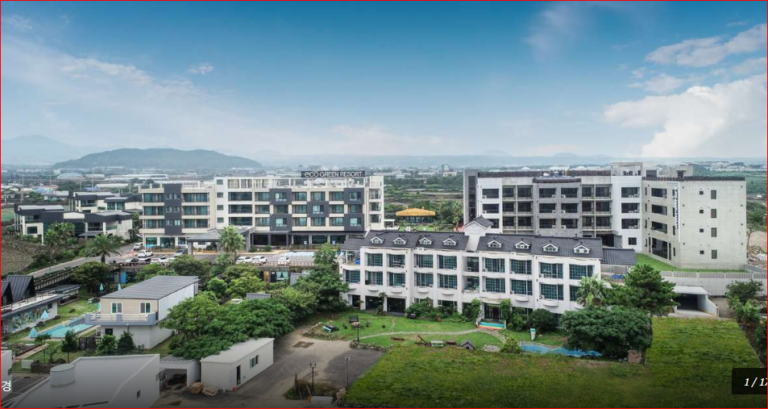 제주 축제 숙소 추천 풀빌라 에코그린리조트, 한림 가족 숙소·수영장·오션뷰