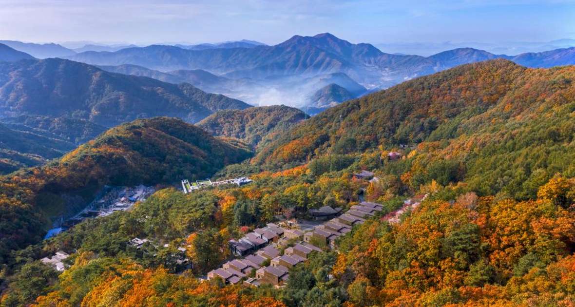 포레스트 리솜 숲속 빌라와 제천 산림 전경
