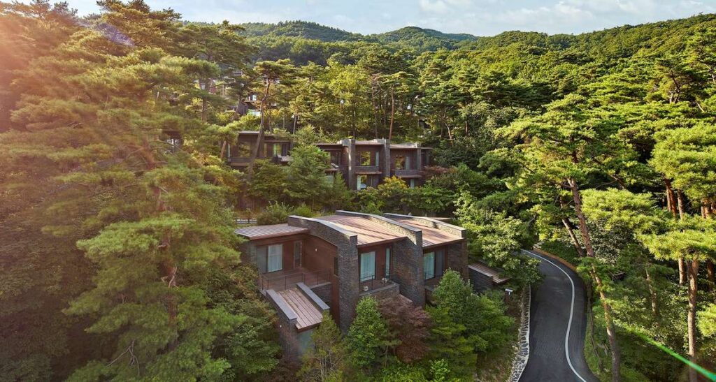 국내 온천 스파 리조트 비교, 포레스트 리솜·스플라스 리솜·소노벨 청송 객실 가격·스파 시설·노천탕·조식·이용요금과 예약 조건