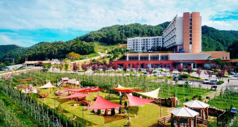 소노벨 청송 솔샘온천·객실 가격·조식·주왕산 단풍 여행, 노천탕 패키지 예약 전 확인사항