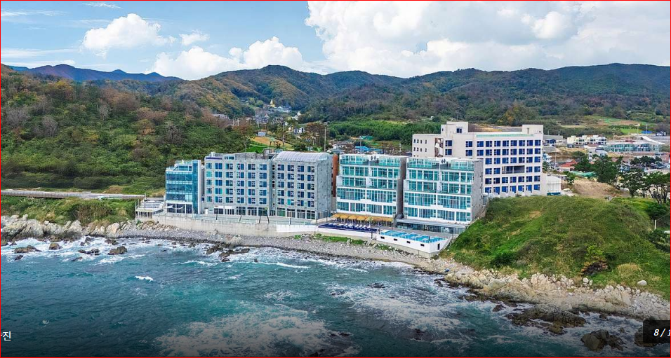 경주 축제 숙소 추천 감포 애견동반 호텔 엘라포니시, 반려견 객실·바다전망·바베큐 이용 숙소 사진